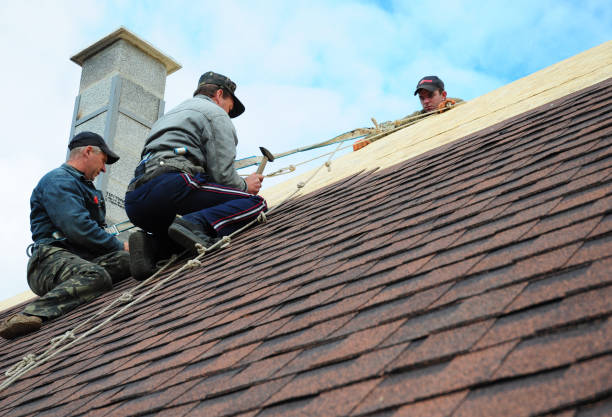 Best Local Roofing Companies  in Savannah, MO
